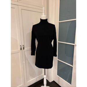 Everlane Women's Black Cashmere Turtleneck Knit Tunic Sweater Dress‎ Size Small